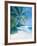 Tropical Beach II-Paul Brown-Framed Giclee Print