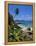 Tropical Beach, La Digue Island, Seychelles-Angelo Cavalli-Framed Premier Image Canvas
