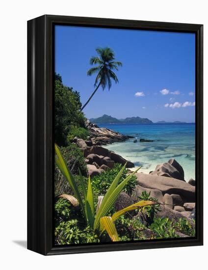 Tropical Beach, La Digue Island, Seychelles-Angelo Cavalli-Framed Premier Image Canvas