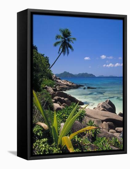 Tropical Beach, La Digue Island, Seychelles-Angelo Cavalli-Framed Premier Image Canvas