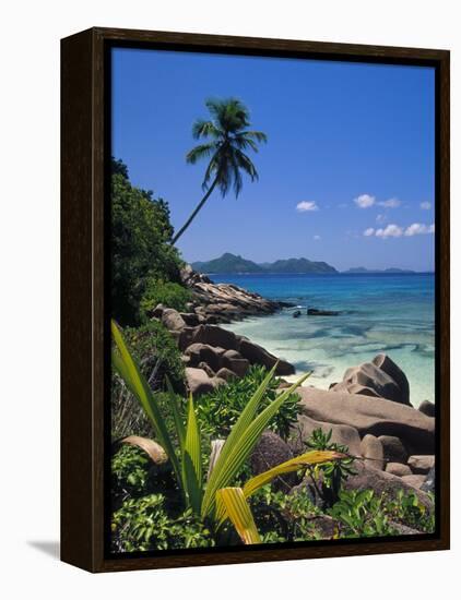 Tropical Beach, La Digue Island, Seychelles-Angelo Cavalli-Framed Premier Image Canvas