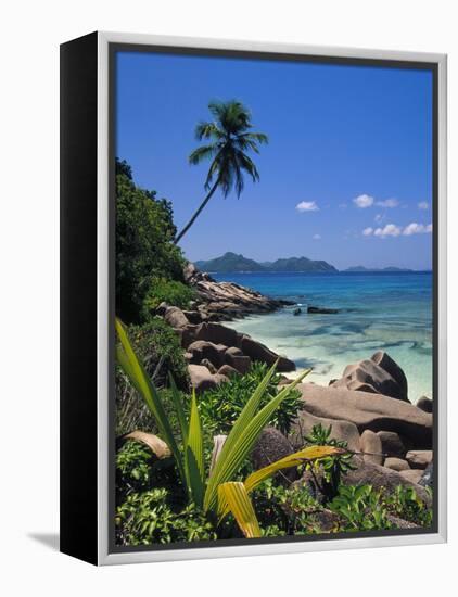 Tropical Beach, La Digue Island, Seychelles-Angelo Cavalli-Framed Premier Image Canvas