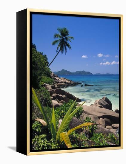 Tropical Beach, La Digue Island, Seychelles-Angelo Cavalli-Framed Premier Image Canvas