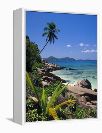 Tropical Beach, La Digue Island, Seychelles-Angelo Cavalli-Framed Premier Image Canvas