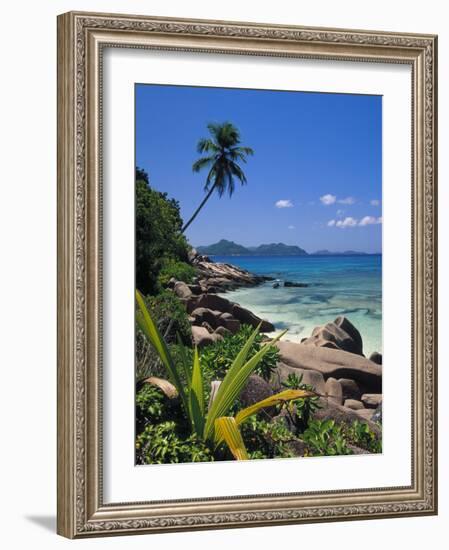 Tropical Beach, La Digue Island, Seychelles-Angelo Cavalli-Framed Photographic Print