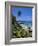 Tropical Beach, La Digue Island, Seychelles-Angelo Cavalli-Framed Photographic Print