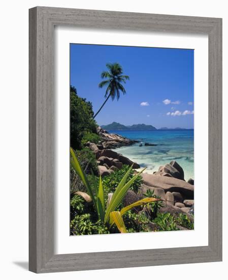 Tropical Beach, La Digue Island, Seychelles-Angelo Cavalli-Framed Photographic Print