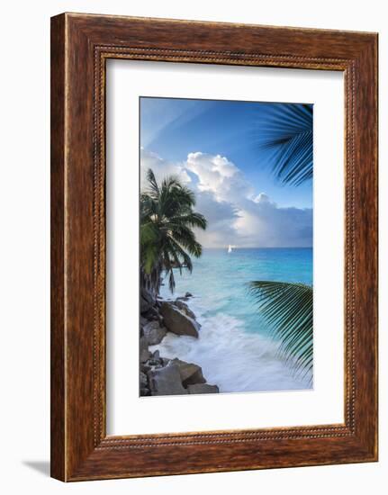 Tropical Beach, La Digue, Seychelles-Jon Arnold-Framed Photographic Print