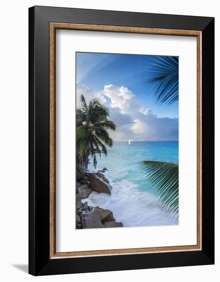Tropical Beach, La Digue, Seychelles-Jon Arnold-Framed Photographic Print