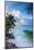 Tropical Beach, La Digue, Seychelles-Jon Arnold-Mounted Photographic Print