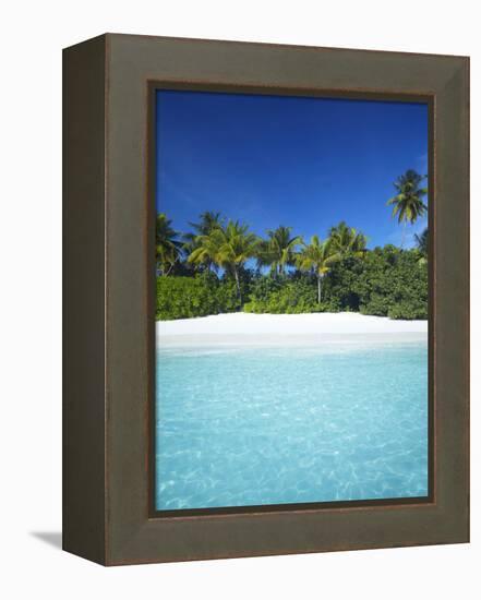 Tropical Beach, Maldives, Indian Ocean, Asia-Sakis Papadopoulos-Framed Premier Image Canvas