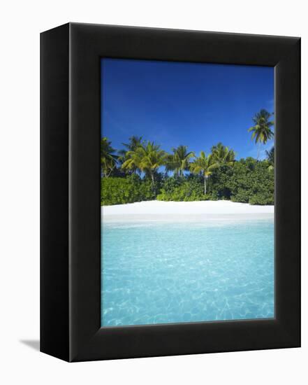 Tropical Beach, Maldives, Indian Ocean, Asia-Sakis Papadopoulos-Framed Premier Image Canvas