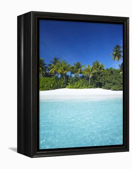 Tropical Beach, Maldives, Indian Ocean, Asia-Sakis Papadopoulos-Framed Premier Image Canvas