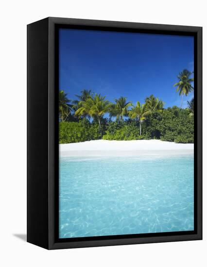 Tropical Beach, Maldives, Indian Ocean, Asia-Sakis Papadopoulos-Framed Premier Image Canvas