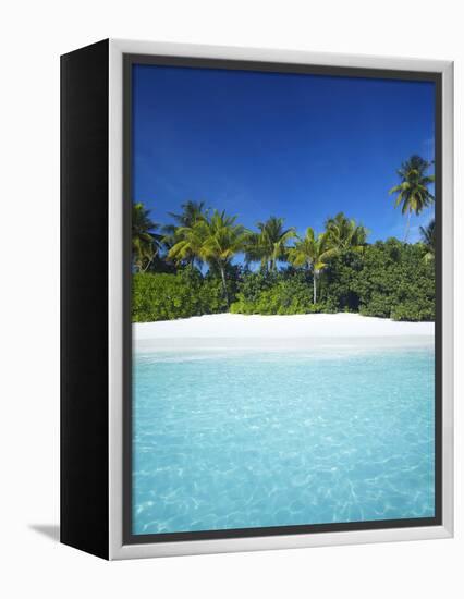Tropical Beach, Maldives, Indian Ocean, Asia-Sakis Papadopoulos-Framed Premier Image Canvas