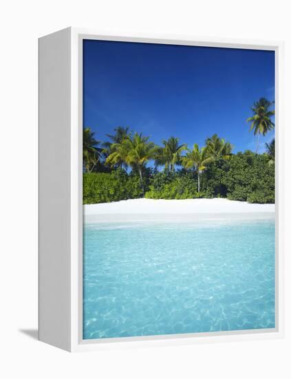 Tropical Beach, Maldives, Indian Ocean, Asia-Sakis Papadopoulos-Framed Premier Image Canvas