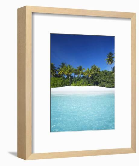 Tropical Beach, Maldives, Indian Ocean, Asia-Sakis Papadopoulos-Framed Photographic Print