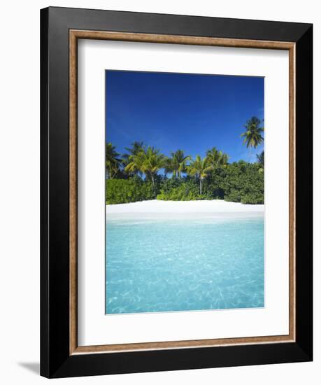 Tropical Beach, Maldives, Indian Ocean, Asia-Sakis Papadopoulos-Framed Photographic Print