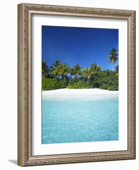 Tropical Beach, Maldives, Indian Ocean, Asia-Sakis Papadopoulos-Framed Photographic Print