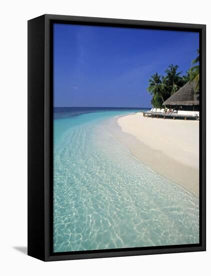 Tropical Beach, Maldives, Indian Ocean-Jon Arnold-Framed Premier Image Canvas