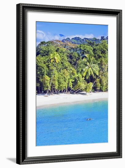 Tropical Beach, Manuel Antonio National Park, Costa Rica-Marco Simoni-Framed Photographic Print