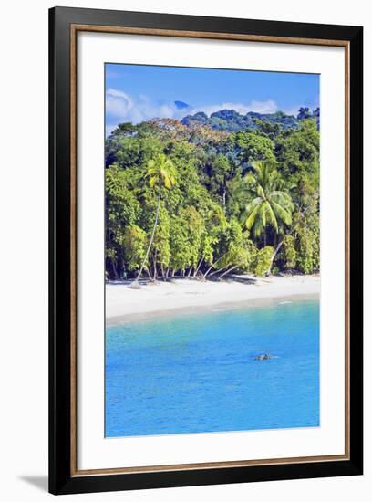 Tropical Beach, Manuel Antonio National Park, Costa Rica-Marco Simoni-Framed Photographic Print