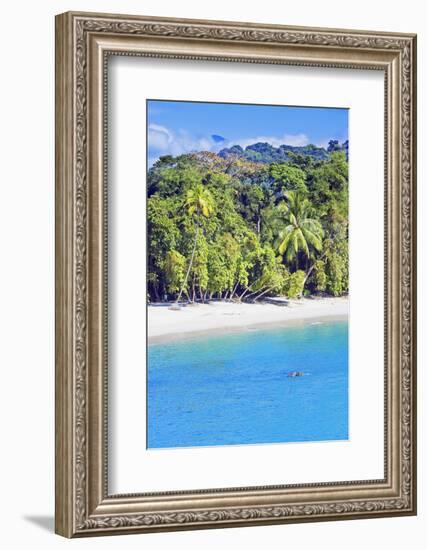 Tropical Beach, Manuel Antonio National Park, Costa Rica-Marco Simoni-Framed Photographic Print