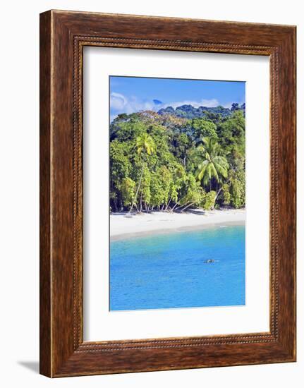 Tropical Beach, Manuel Antonio National Park, Costa Rica-Marco Simoni-Framed Photographic Print