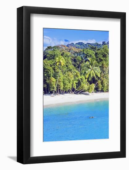 Tropical Beach, Manuel Antonio National Park, Costa Rica-Marco Simoni-Framed Photographic Print
