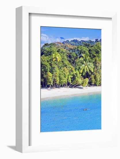 Tropical Beach, Manuel Antonio National Park, Costa Rica-Marco Simoni-Framed Photographic Print