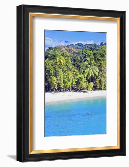 Tropical Beach, Manuel Antonio National Park, Costa Rica-Marco Simoni-Framed Photographic Print