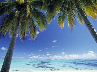 'Tropical Beach, North Aitutaki Island, Cook Islands' Photographic ...