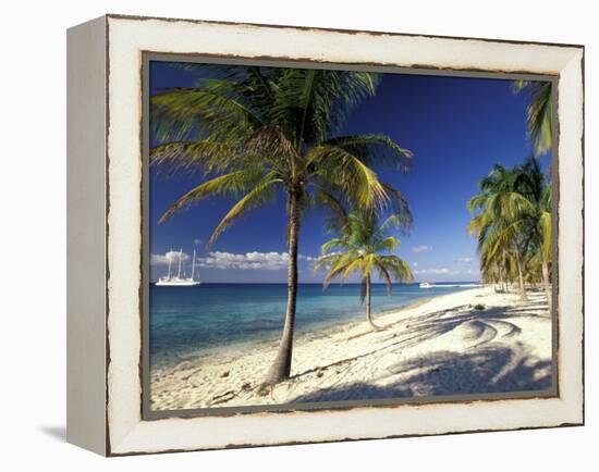 Tropical Beach on Isla de la Juventud, Cuba-Gavriel Jecan-Framed Premier Image Canvas