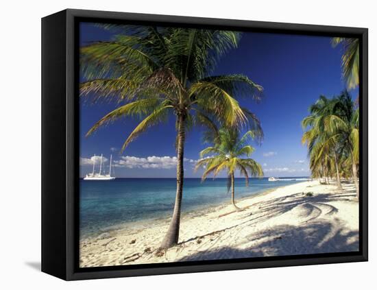 Tropical Beach on Isla de la Juventud, Cuba-Gavriel Jecan-Framed Premier Image Canvas