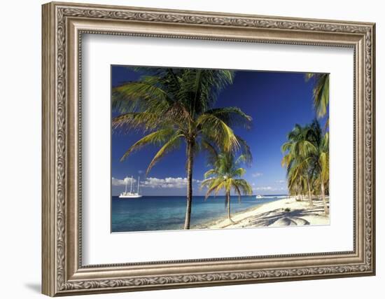 Tropical Beach on Isla de la Juventud, Cuba-Gavriel Jecan-Framed Photographic Print
