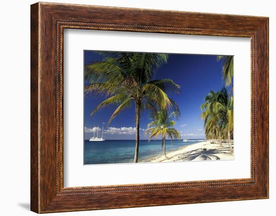 Tropical Beach on Isla de la Juventud, Cuba-Gavriel Jecan-Framed Photographic Print