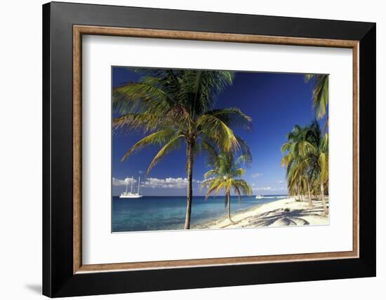 Tropical Beach on Isla de la Juventud, Cuba-Gavriel Jecan-Framed Photographic Print