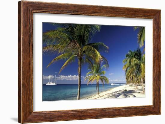 Tropical Beach on Isla de la Juventud, Cuba-Gavriel Jecan-Framed Art Print