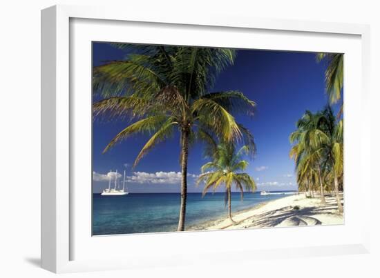 Tropical Beach on Isla de la Juventud, Cuba-Gavriel Jecan-Framed Art Print