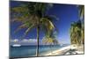 Tropical Beach on Isla de la Juventud, Cuba-Gavriel Jecan-Mounted Art Print