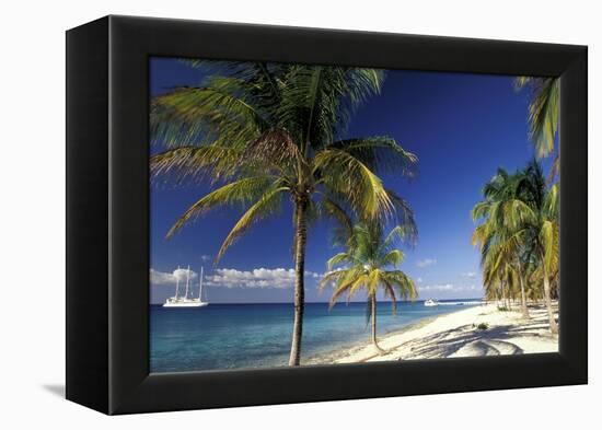 Tropical Beach on Isla de la Juventud, Cuba-Gavriel Jecan-Framed Stretched Canvas