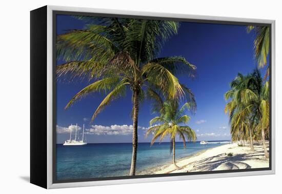Tropical Beach on Isla de la Juventud, Cuba-Gavriel Jecan-Framed Stretched Canvas