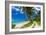 Tropical Beach on Samoa Island with Palm Trees and Dirt Road-Martin Valigursky-Framed Photographic Print