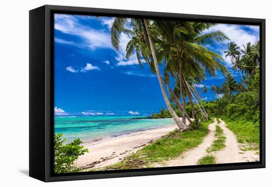 Tropical Beach on Samoa Island with Palm Trees and Dirt Road-Martin Valigursky-Framed Premier Image Canvas