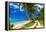 Tropical Beach on Samoa Island with Palm Trees and Dirt Road-Martin Valigursky-Framed Premier Image Canvas