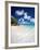 Tropical Beach, Seychelles, Indian Ocean, Africa-Sakis Papadopoulos-Framed Photographic Print