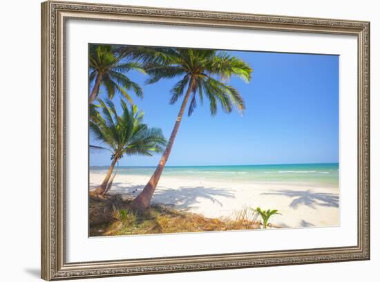 Tropical Beach with Coconut Palm-Hydromet-Framed Photographic Print