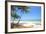 Tropical Beach with Coconut Palm-Hydromet-Framed Photographic Print
