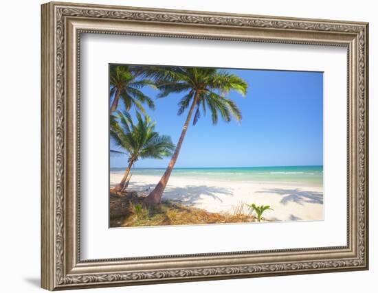 Tropical Beach with Coconut Palm-Hydromet-Framed Photographic Print