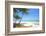 Tropical Beach with Coconut Palm-Hydromet-Framed Photographic Print